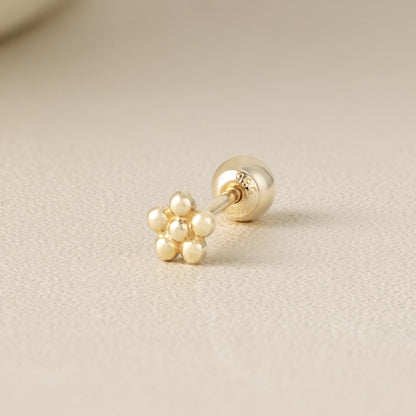 Solid Gold 14K - Anaïs Earrings