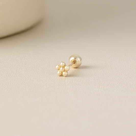 Solid Gold 14K - Anaïs Earrings